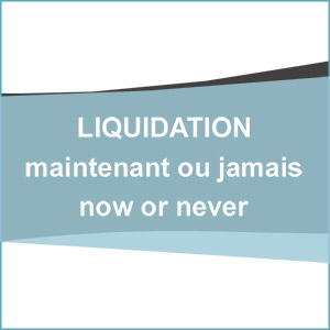 Liquidation. Findings